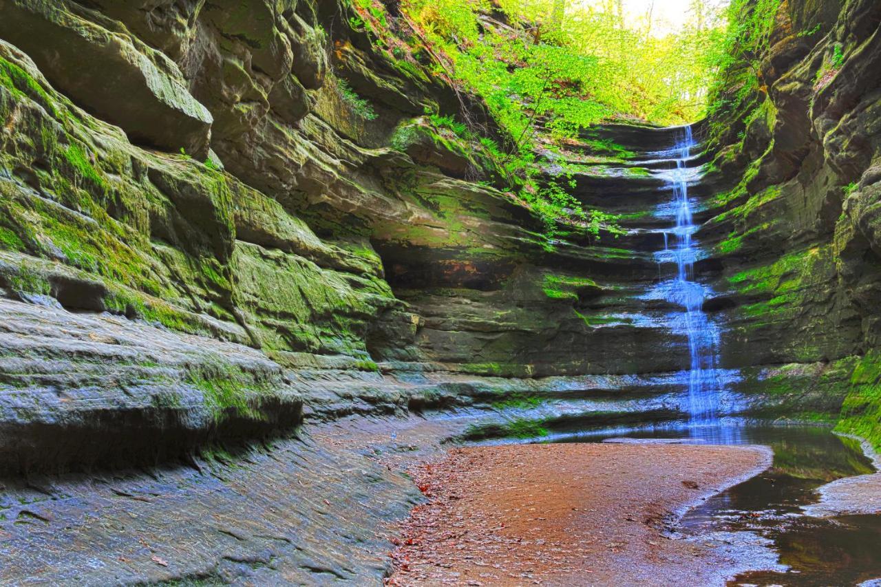 Starved Rock & Ottawa Retreat Amazing Getaway Home 外观 照片